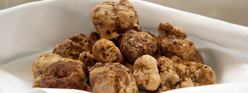 Smag p� fantastiske tr�fler